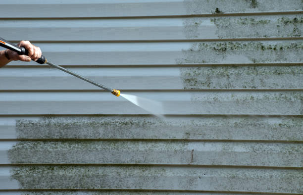 Best Office Mold Removal Services  in K I Sawyer, MI