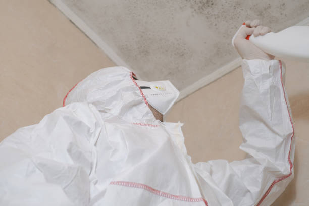 Best Residential Mold Removal  in K I Sawyer, MI