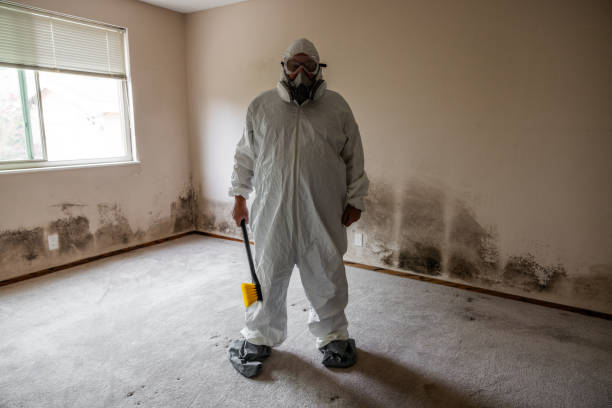 Best Black Mold Removal  in K I Sawyer, MI